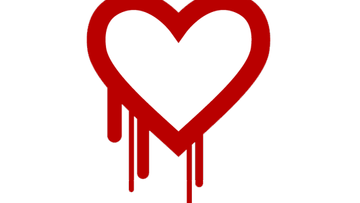 The Heartbleed Bug