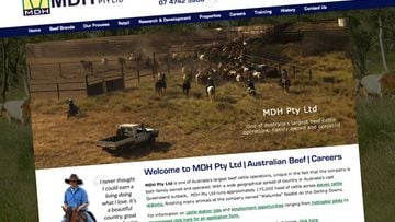 Client Spotlight - MDH Beef