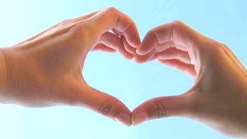 Giving away 8 websites to charities - extended till 15 November