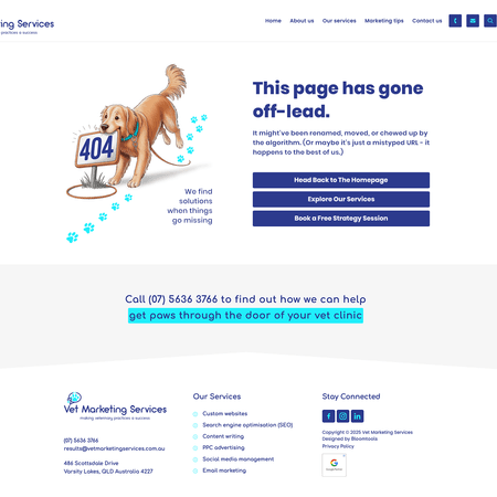 404 Pages Image -683e8598829a1