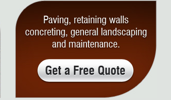 Bloomtools | Digital Marketing Agency Australia 