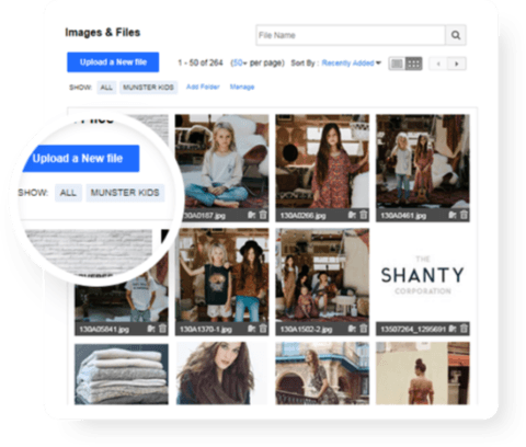 Bloomtools | Website Builder | eCommerce Platform | website design | website developer