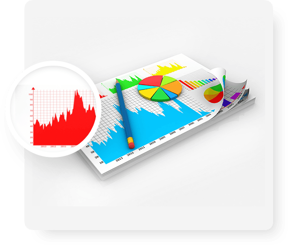 Bloomtools | Digital Marketing Plans and Analysis
